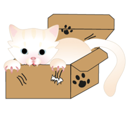 KATI fat cat sticker #13130217