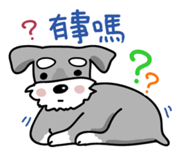 A cute Miniature Schnauzer (Little Fat) sticker #13130342