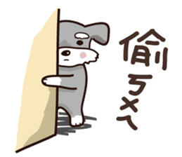 A cute Miniature Schnauzer (Little Fat) sticker #13130343