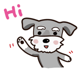 A cute Miniature Schnauzer (Little Fat) sticker #13130346