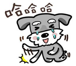 A cute Miniature Schnauzer (Little Fat) sticker #13130347