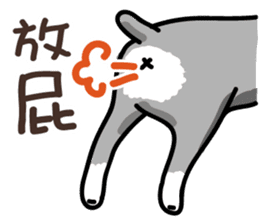 A cute Miniature Schnauzer (Little Fat) sticker #13130349