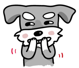 A cute Miniature Schnauzer (Little Fat) sticker #13130350