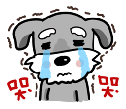 A cute Miniature Schnauzer (Little Fat) sticker #13130351