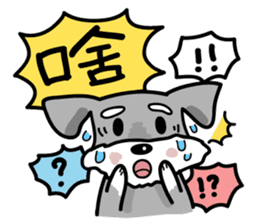 A cute Miniature Schnauzer (Little Fat) sticker #13130353