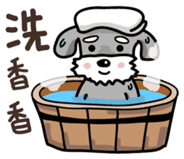 A cute Miniature Schnauzer (Little Fat) sticker #13130354