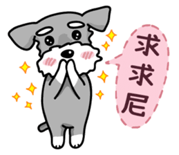 A cute Miniature Schnauzer (Little Fat) sticker #13130355