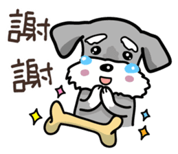 A cute Miniature Schnauzer (Little Fat) sticker #13130358