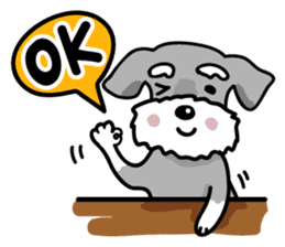 A cute Miniature Schnauzer (Little Fat) sticker #13130360