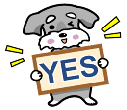 A cute Miniature Schnauzer (Little Fat) sticker #13130362