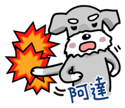 A cute Miniature Schnauzer (Little Fat) sticker #13130366