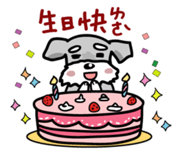 A cute Miniature Schnauzer (Little Fat) sticker #13130368