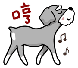 A cute Miniature Schnauzer (Little Fat) sticker #13130369