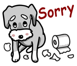 A cute Miniature Schnauzer (Little Fat) sticker #13130373