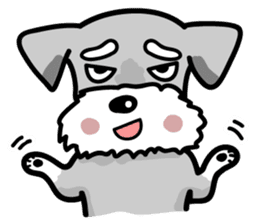 A cute Miniature Schnauzer (Little Fat) sticker #13130374