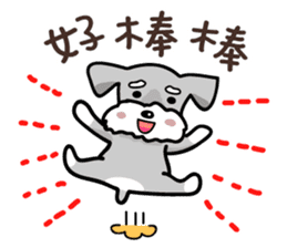 A cute Miniature Schnauzer (Little Fat) sticker #13130375