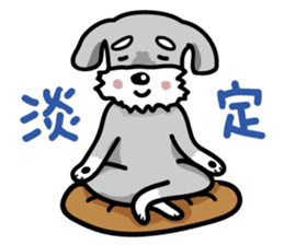 A cute Miniature Schnauzer (Little Fat) sticker #13130379