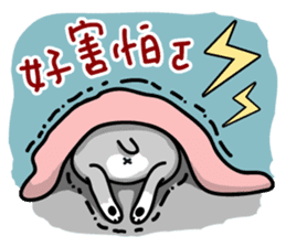 A cute Miniature Schnauzer (Little Fat) sticker #13130380