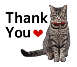 Various brown tabby cats. (ENGLISH) sticker #13131373