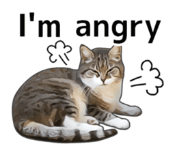 Various brown tabby cats. (ENGLISH) sticker #13131391