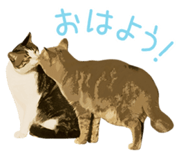 Mitsuaki Iwago Neko Sticker sticker #13131574