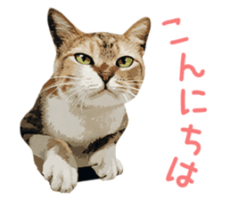 Mitsuaki Iwago Neko Sticker sticker #13131575