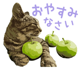 Mitsuaki Iwago Neko Sticker sticker #13131580