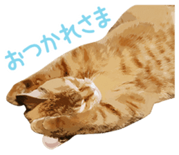 Mitsuaki Iwago Neko Sticker sticker #13131581