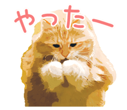 Mitsuaki Iwago Neko Sticker sticker #13131582