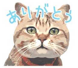 Mitsuaki Iwago Neko Sticker sticker #13131584