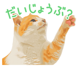 Mitsuaki Iwago Neko Sticker sticker #13131588