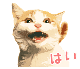 Mitsuaki Iwago Neko Sticker sticker #13131590