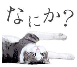 Mitsuaki Iwago Neko Sticker sticker #13131593