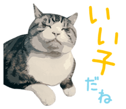 Mitsuaki Iwago Neko Sticker sticker #13131594
