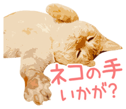 Mitsuaki Iwago Neko Sticker sticker #13131596