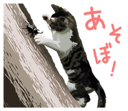 Mitsuaki Iwago Neko Sticker sticker #13131597