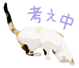 Mitsuaki Iwago Neko Sticker sticker #13131599