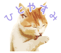 Mitsuaki Iwago Neko Sticker sticker #13131600