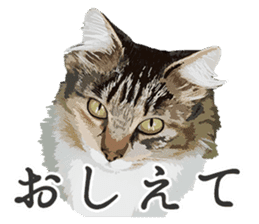 Mitsuaki Iwago Neko Sticker sticker #13131603