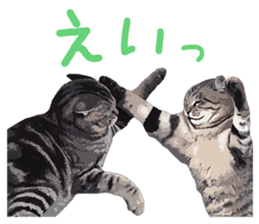 Mitsuaki Iwago Neko Sticker sticker #13131604