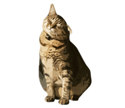 Mitsuaki Iwago Neko Sticker sticker #13131606