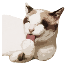 Mitsuaki Iwago Neko Sticker sticker #13131607