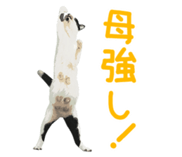 Mitsuaki Iwago Neko Sticker sticker #13131609