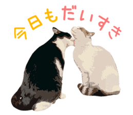 Mitsuaki Iwago Neko Sticker sticker #13131612