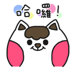 Silly cat's show time sticker #13132238