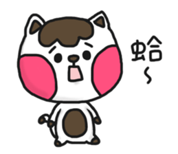 Silly cat's show time sticker #13132251