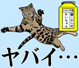 Nyanko school(PART4) sticker #13132331