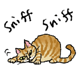 Cats of the onomatopoeia (English Ver.) sticker #13132871