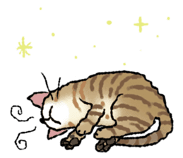 Cats of the onomatopoeia (English Ver.) sticker #13132876
