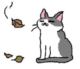 Cats of the onomatopoeia (English Ver.) sticker #13132879